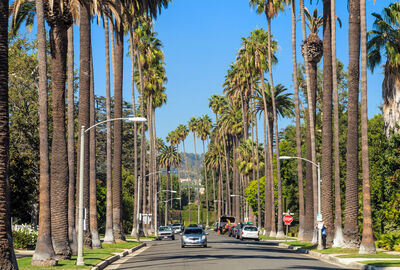 LOS ANGELES 2025 (LAX-LAX)