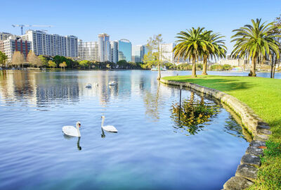 MIAMI 2025 (MIA-MIA) 