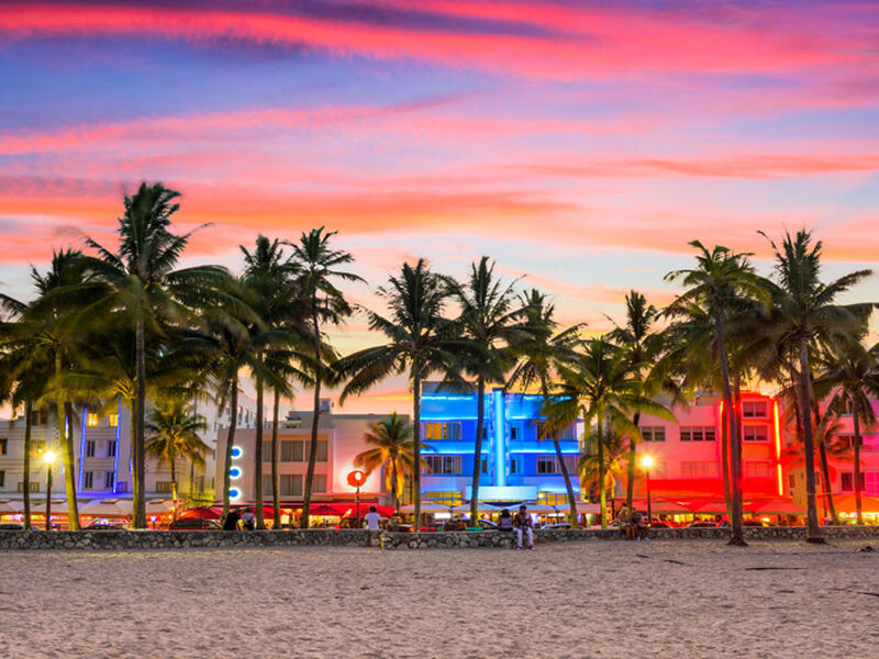 MIAMI 2025 (MIA-MIA) 