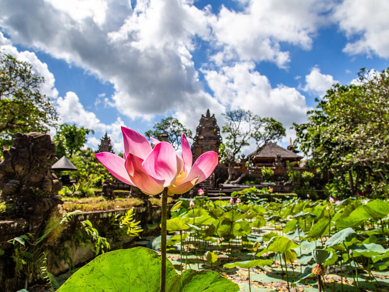 Bali & Ubud Serüveni Turu Türk Hava Yolları ile 6 Gece ( DPS-DPS)