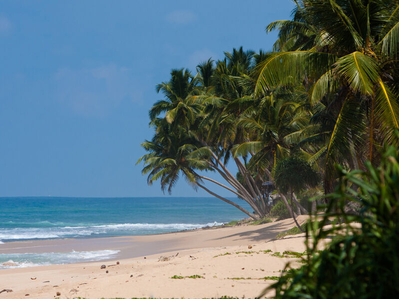 SRİ LANKA G9 2026 (CMB-CMB) 