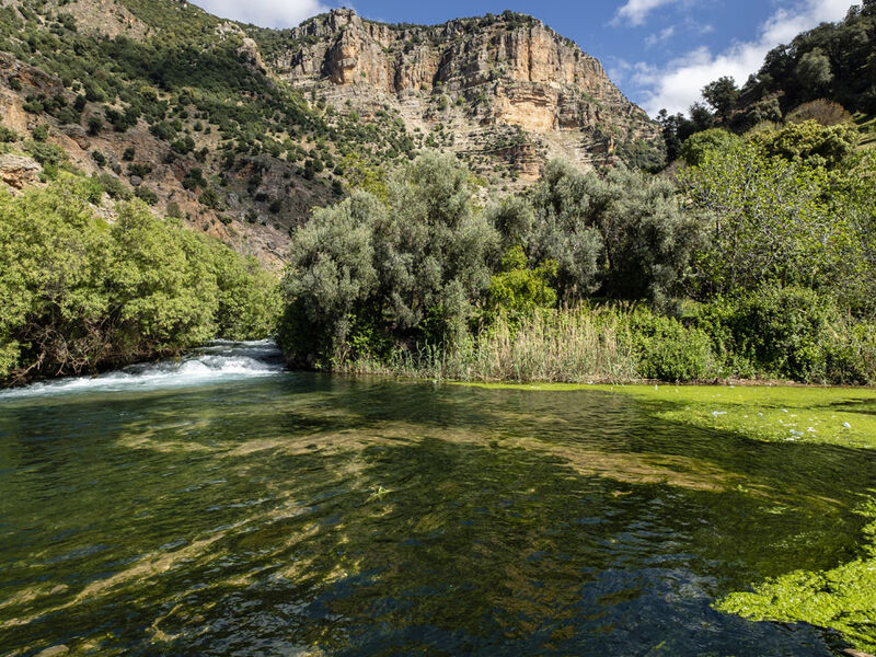 2026 Kış Dönemi Görkemli Fas Krallığı ve Mistik Şehirler (Tüm Turlar ve Akşam Yemekleri Dahil) AT1003
