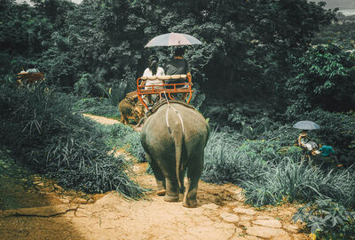 PHUKET 2026 SQ (HKT-HKT)