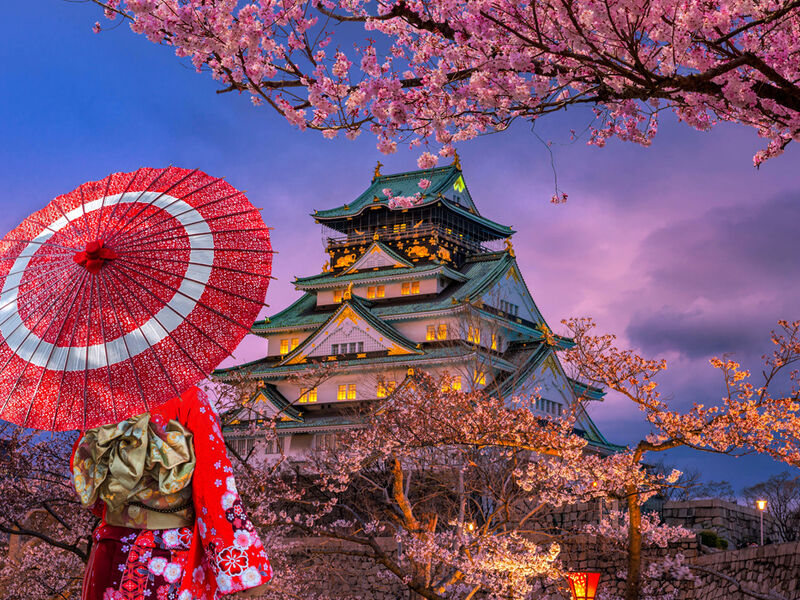 Comfort Japonya Turu Etihad Hava Yolları ile 7 gece Ekstra Turlar ve Çay Seramonisi