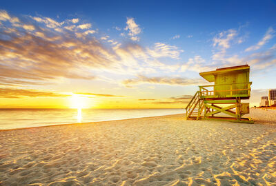 Görkemli Doğu Amerika 5 Gece - THY ile (Yılbaşı Özel) AT1285