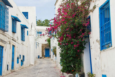 Görkemli Tunus ve Antik Kentler 4 Gece - THY ile 28 Aralık (Yılbaşı Özel) AT1289