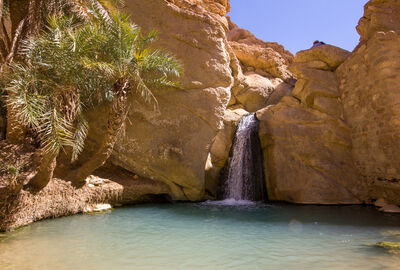 Görkemli Tunus ve Antik Kentler 3 Gece - THY İle (2025 Sonbahar - Kış Dönemi) Yılbaşı Özel (Yılbaşı Gala Yemeği Dahil) AT1298