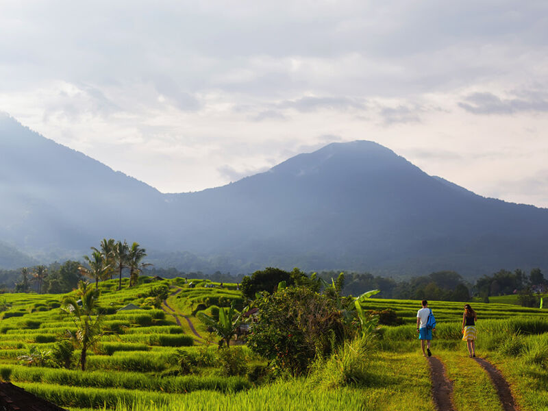 Görkemli Tropikal Ada Bali & Ubud & Singapur 5 Gece - Singapur Hava Yolları ile (27 Şubat)