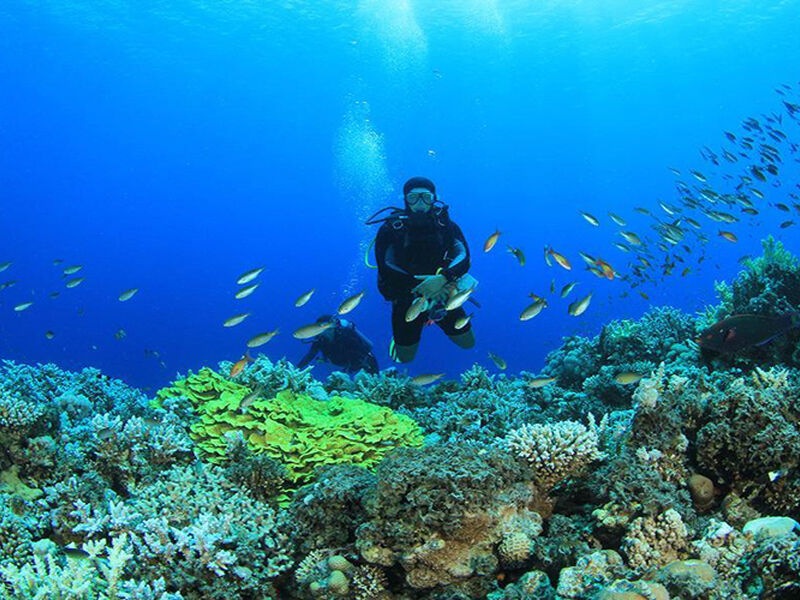 Sharm Kahire ve İskenderiye Masalı (6 Gece - 7 Gün)