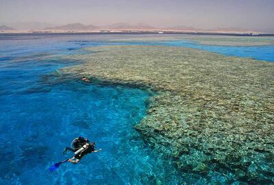 Baştanbaşa Mısır Masalı (Sharm – Kahire – Hurghada) 8 Gece – 9 Gün (7 Gece Otel Konaklaması)