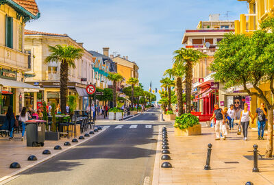 BASKLAR VE GÜNEY FRANSA 2026 PC (MRS-BIO)