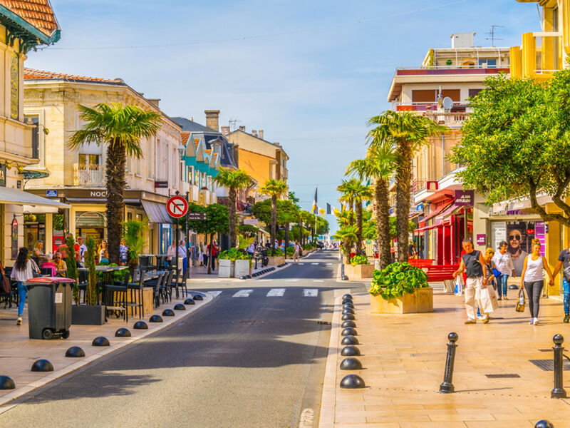 BASKLAR VE GÜNEY FRANSA 2026 PC ( BIO-MRS)