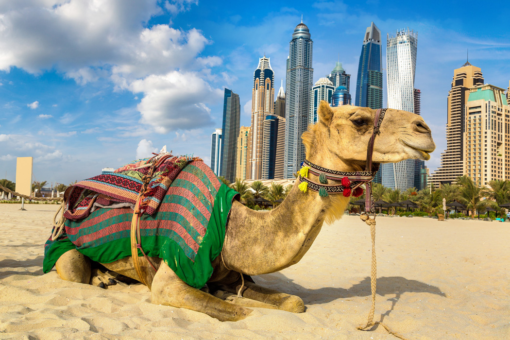 Görkemli Dubai & Lüksün Başkenti 3 Gece - AJET ile (2025 Sonbahar Dönemi) AT015