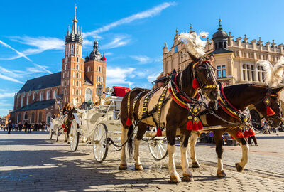 ALMANYA & POLONYA KIŞ 2026 (BER-BER)