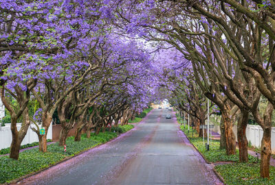 Görkemli Güney Afrika ve Safari 7 Gece - THY ile 19 Mart (Ramazan Bayramı Özel) (CPT - JNB) AT1122
