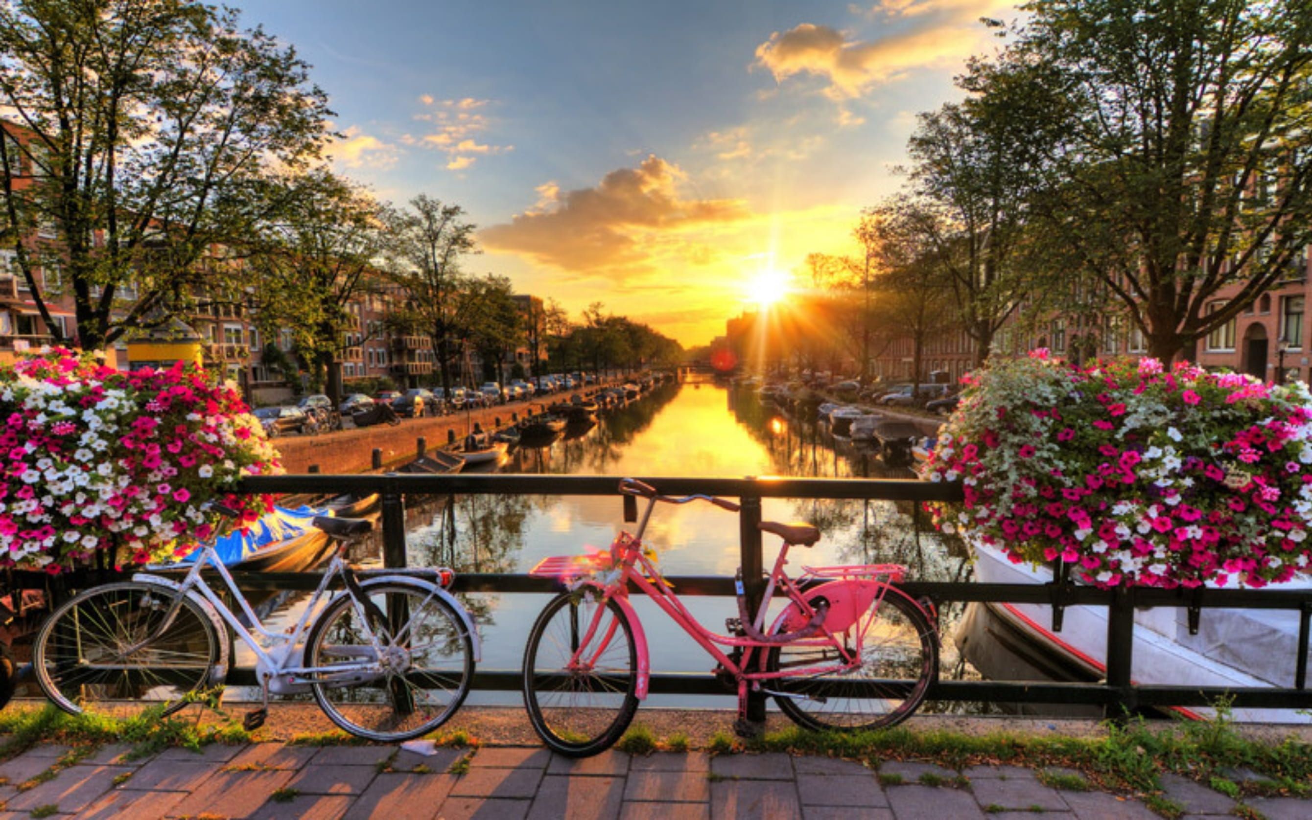 DELUXE EXPRESS BENELUX & PARİS 2026 PC YAZ  (ORY-AMS)