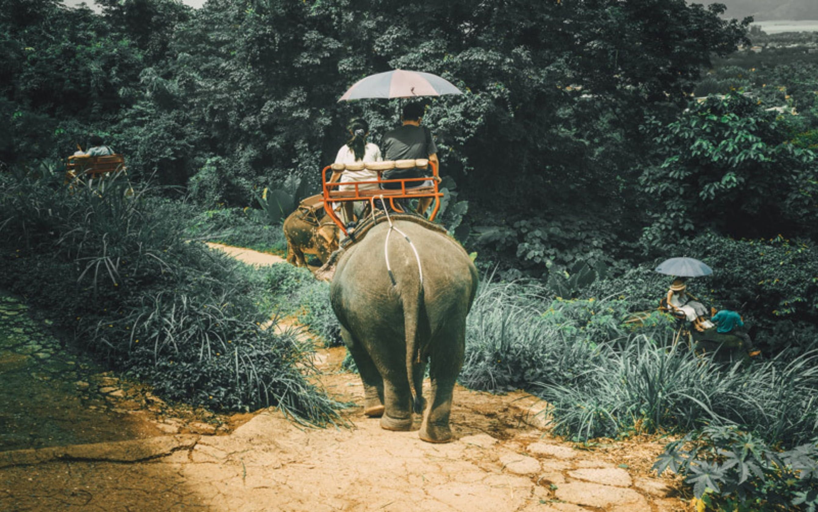 Comfort Phuket - Bangkok - Pattaya Turu Qatar Hava Yolları ile 6 Gece & 8 Gün  Ekstra Turlar Dahil HKT - BKK