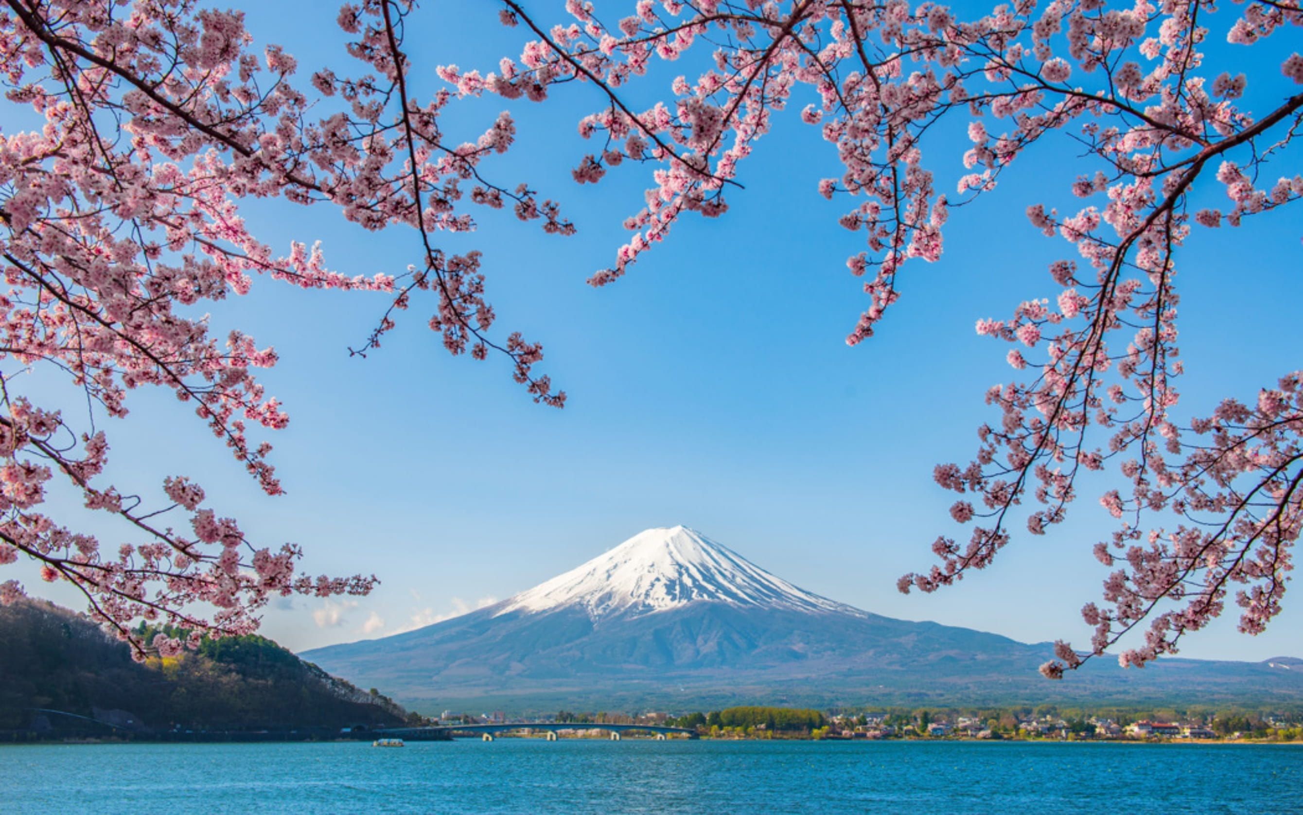 Comfort Japonya & Kore Turu Qatar Hava Yolları ile 8 Gece Ekstra Turlar Dahil!! - NRT-NRT