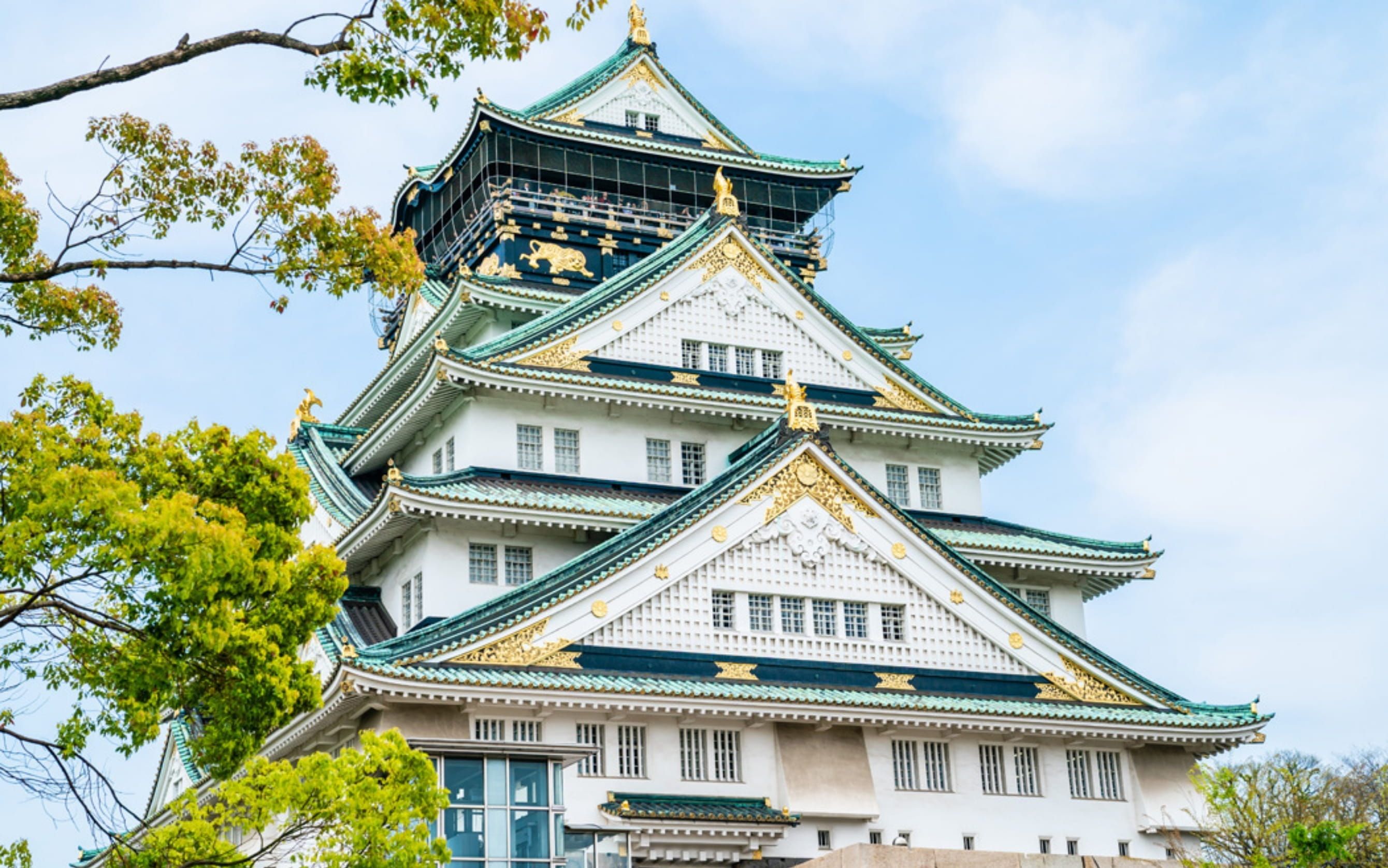 Comfort Japonya Turu Qatar Hava Yolları ile 6 Gece Ekstra Turlar Dahil NRT-NRT - Öğlen Gidiş-Akşam Dönüş