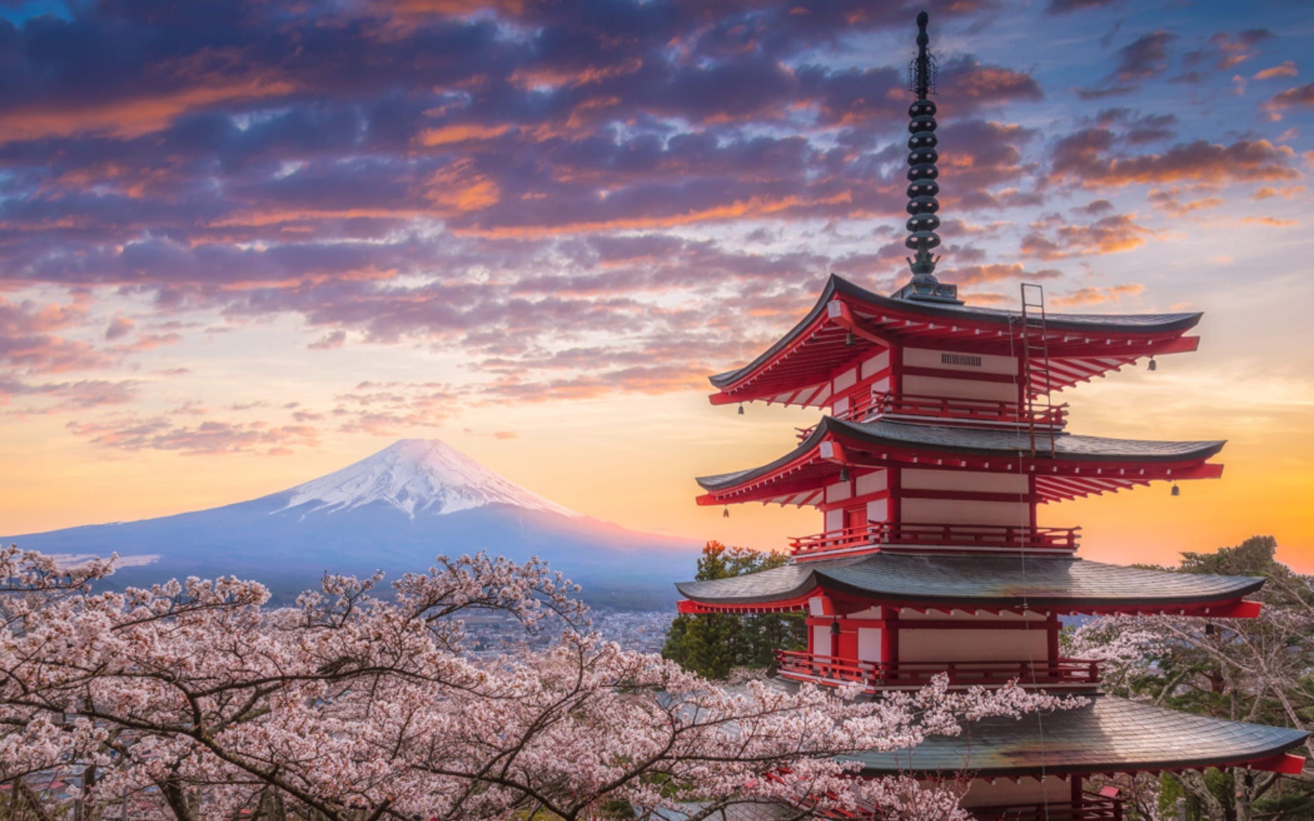 Comfort Japonya Turu Türk Hava Yolları ile 6 gece Ekstra Turlar Dahil ve Çay Seremonisi Dahil Koyo Dönemi NRT-KIX