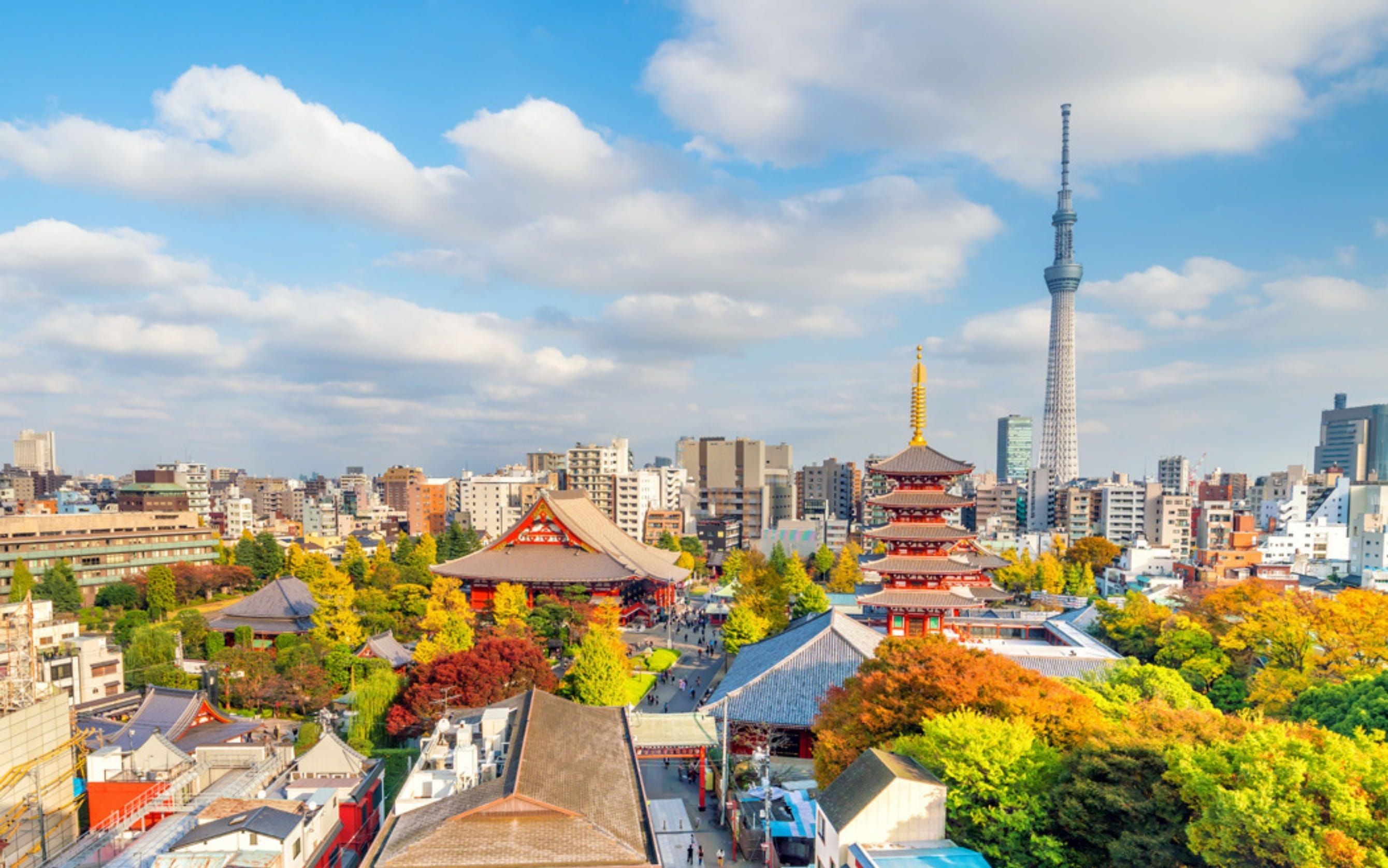 Comfort Japonya & Kore Turu Türk Hava Yolları ile 7 Gece Ekstra Turlar Dahil!! - ICN-NRT -