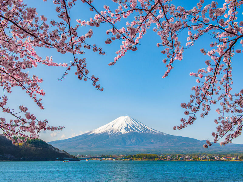 Comfort Japonya Turu  Uçaksız Paket 