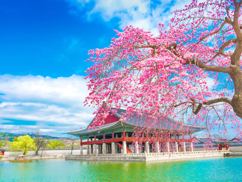Comfort Kore ve Japonya Turu Türk Hava Yolları ile 9 Gece Ekstra Turlar ve Çay Seremonisi Turlar Dahil 
