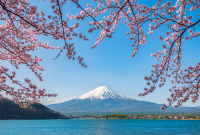Comfort Japonya Turu Etihad Hava Yolları ile 6 gece Ekstra Turlar Dahil NRT-KIX 
