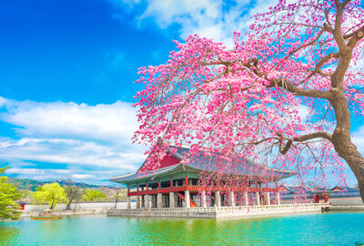 Comfort Japonya & Kore Turu Türk Hava Yolları ile 9 Gece Ekstra Turlar ve Çay Seremonisi Dahil ICN - KI