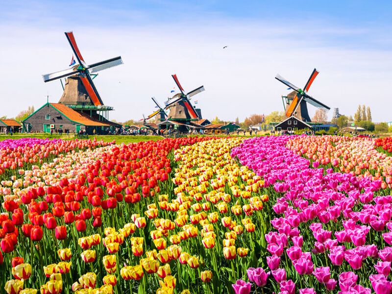 EKSPRESS BENELUX & PARIS 2026 KIS (ORY-AMS)
